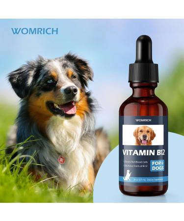 Appetite Stimulant Vitamin B12 for Dogs | Methylcobalamin (Methyl B12) | Treatment of EPI in Dogs Boosts Red Blood Cell Formation Energy Nervous System Treats Pancreatitis | 2 fl oz - Buy Online on GoSupps.com