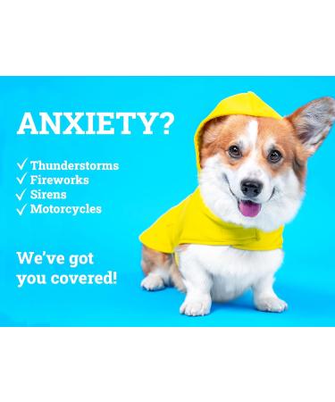 Relax Pet Supplement for Dogs/Canines - Chews (Small Breed) 100g | Calming Hemp Supplement | Stress and Anxiety | Over-Excitement | Travel Sickness | Depression | Separation Anxiety - Buy Online on GoSupps.com