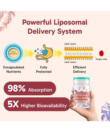 Liposomal Collagen Joint Support Supplement - Undenatured Type II Collagen for Men & Women with Hyaluronic Acid & Vitamin C for Joints Health & Mobility, 120 Softgels 60 Count (Pack of 2) - Buy Online on GoSupps.com