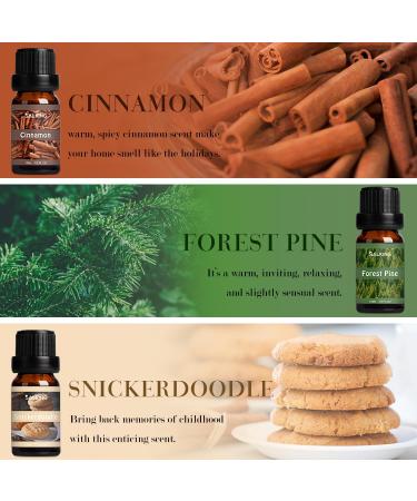 SALKING Autumn Fragrance Oils Gift Set - Essential Oils for Fall Soaps, Candles - Cinnamon, Pumpkin Spice, Apple Cider, Vanilla, Forest Pine, Snickerdoodle - Buy Online on GoSupps.com