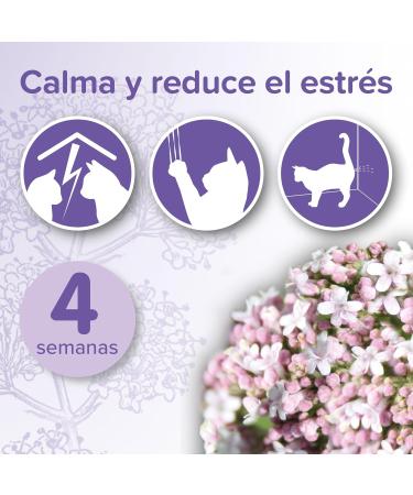 Beaphar Calming No Stress Cat Pack - 30ml Diffuser & Recharge for Cat Anxiety Relief | International Shipping - Buy Online on GoSupps.com