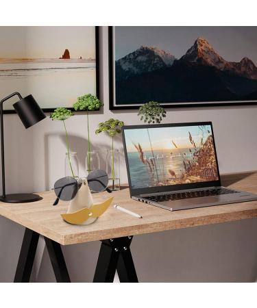 Nasal Glasses Holders - Unique & Funny Storage Organizer for Glasses Enthusiasts | Amusing Beard Colors - Perfect Gift! - Buy Online on GoSupps.com