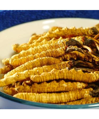 Wild Organic Cordyceps Sinensis Boost Energy Reduce Stress for Men and Women (3 Grams)