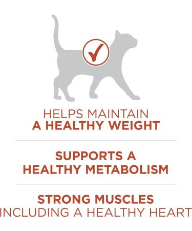 Purina ONE +Plus Dry Cat Food Healthy Weight Turkey - 1.8 kg Bag - Buy Online on GoSupps.com