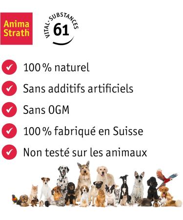 ANIMA-STRATH Fortifying and Natural Liquid Food Supplement for Dogs and Cats - Support for immunity and digestion with 61 Micronutrients Vitamins Minerals Amino Acids - Buy Online on GoSupps.com
