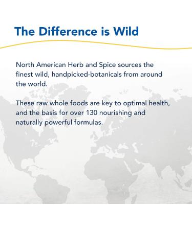 NORTH AMERICAN HERB & SPICE Cinnamol - 1 fl oz. - Cinnamon Bark Oil - Freshens Breath - Kosher - 286 Servings - Buy Online on GoSupps.com