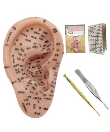 Earred acupuncture -KIT soft ear seed kit with 7.5 inch earmodel ear stains earstream tweezers probe pin ear book picture acupuncture ear seeds 1