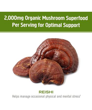 Om Mushroom Superfood Reishi Powder - Organic Adaptogen for Stress & Immune Support | 7.05 oz, 100 Servings - Buy Online on GoSupps.com