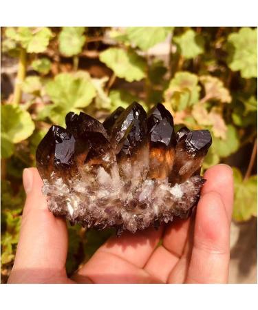 Bulk Rough Natural Black Smoky Quartz Crystal Cluster for Reiki Rock Crafts 250G-650G Crystal Cluster (Color : 450G-550G) - Buy Online on GoSupps.com