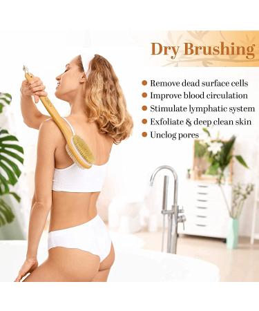 Hainstri Body Shower Brush & Bamboo Back Scratcher Set - Dual-Sided Brush for Men, Women, Kids - Wet or Dry Brushing - Anti-Slip Handle - Gift Wrapped - Buy Online on GoSupps.com