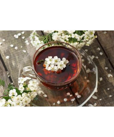  TASTY POTT Tasty Pott Organic hawthorn leaves cut I Tea leaves I Teapot I Naturopathy I Herbal tea I Hawthorn flowers I Vegan food I Hawthorn I In a 100g bag - Buy Online on GoSupps.com