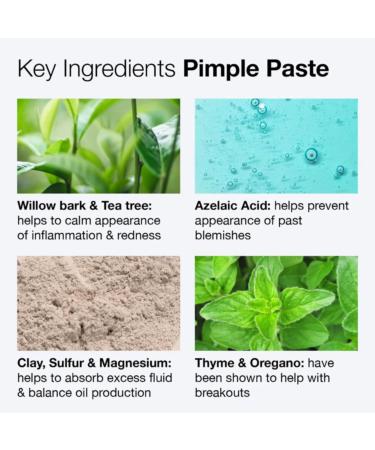 Innbeauty Project Drying Paste Overnight Spot Treatment with Targeted Actives for Blemishes 0.2 OZ (8ml) - Buy Online on GoSupps.com