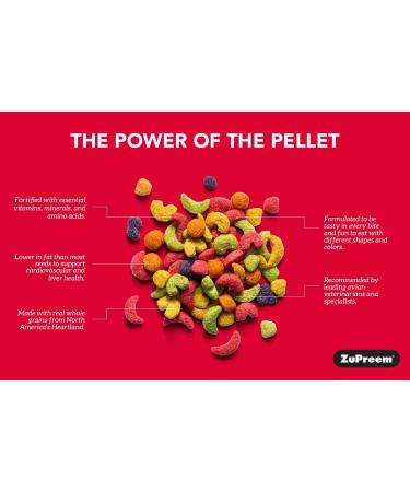 ZuPreem FruitBlend Pellets Bird Food for Parrots & Conures - Made in USA - 3.5lb Pack - Ideal for Caiques, African Greys, Amazons, Eclectus - Buy Online on GoSupps.com