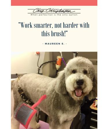 Chris Christensen Big G Dog Slicker Brush - Professional Grooming Tool for Fluff, Detangling, and Styling - Large Coral Brush for Time and Energy Savings - Buy Online on GoSupps.com