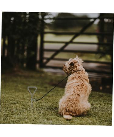 Angoily 3-Piece Dog Coupling Ground Anchor - Chrome Plated Metal Pet Tie Set (42x8.5x4cm) - Durable Silver Pet Accessories - Buy Online on GoSupps.com