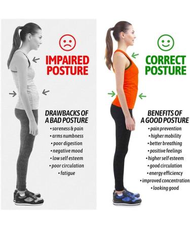 Back support sis Corset Back Brace Posture Corrector Sport Therapy Magnetic Posture Upper Back Corrector back Posture corrector (Black XX) Better life Black XL - Buy Online on GoSupps.com