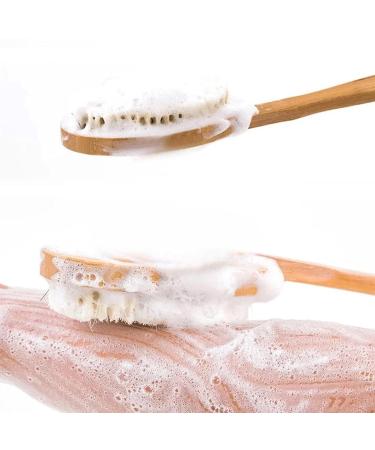 Buy Bayinbrook Back Brush Set - Double Body & Massage Brushes for Improved Blood Circulation & Cellulite Relief | 2 Pack - Buy Online on GoSupps.com
