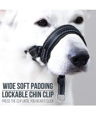 Goodboy Dog Halver with Service Belt - Padded Leash Halter for All Dog Sizes - Stops Pulling & Includes Training Instructions - Size 2 - Black - Buy Online on GoSupps.com