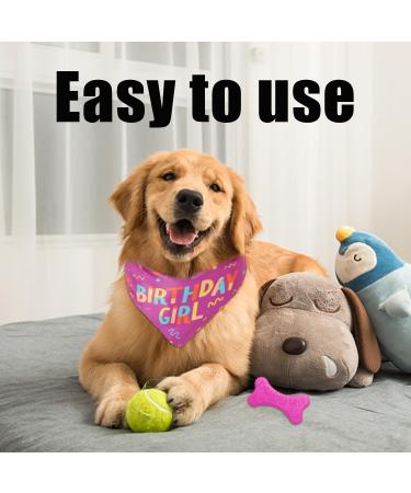 Pink Dog Birthday Party Set Dog Scarf Dog Bone Toy Christmas Pet Dog Scarf Dog Party Hat - Buy Online on GoSupps.com