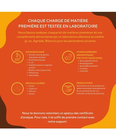 Boswellia Serrata 20.000mg - 360 Capsules - Wellness Joint - 85% Boswellic Acid - Indian Incense (Extract 10:1) - Ayurveda Vegan - Free: Additives Lactose & Gluten - TRUE NATURE - Buy Online on GoSupps.com