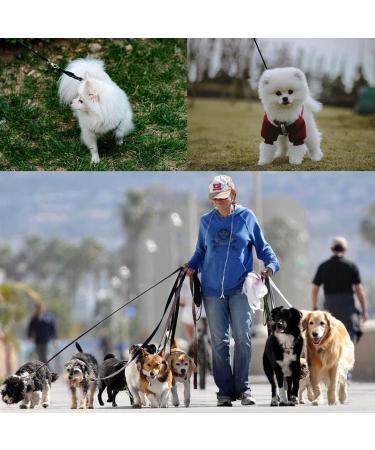 Long Line Dog Lead 50m Mainiusi Long Dog Training Lead Extra Long Dog Training Lead Long Leash for Dogs Training Lead for Dogs 50m Long Dog Lead for Walking Training Tracking Obedience (50m Black) - Buy Online on GoSupps.com