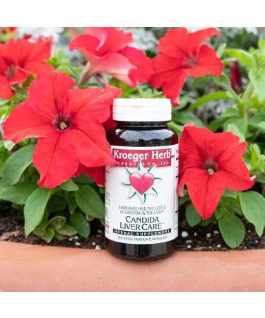 Kroeger Herb Candida Liver Care - 100 Vegetarian Capsules - Buy Online on GoSupps.com