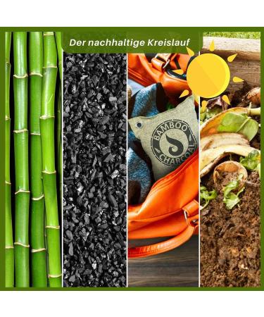 Bluefox I Air Purifier & Odor Remover - Bamboo Activated Carbon Dehumidifier - 2 x 200g - Eco-Friendly Air Freshener - Buy Online on GoSupps.com
