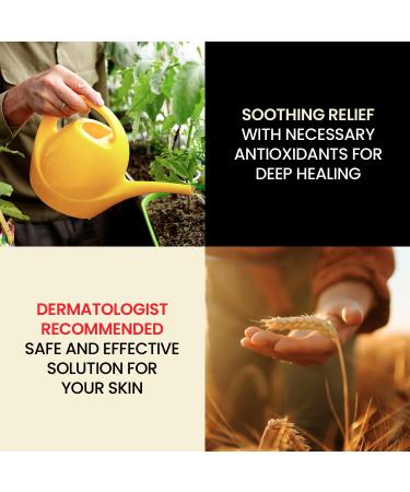 All Natural Skin Moisturizer for Bed Sore & Dry Skin - Lanolin Olive Oil Jojoba Oil & Beeswax - Paraben & Sulfate Free - Hydrating Body & Face Cream (4 oz 2 Pack - Buy Online on GoSupps.com