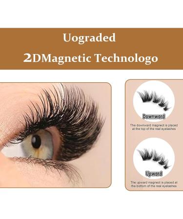 Asheyya Reusable Magnetic Eyelashes with Applicator Lashes Easy to Wear No Glue - Buy Online on GoSupps.com