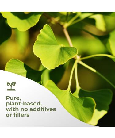 Gade Nutrition Ginkgo Biloba Extract Powder | 250g, 200mg per Serving, 1,250 Servings | Non-GMO, Gluten-Free and Dairy Free | Brain Health Support | USA Made - Buy Online on GoSupps.com