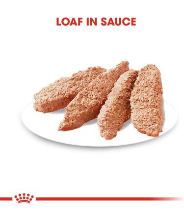 Royal Canin Coat Care Loaf | 12 x 85 g | Complete Food for Adult Dogs of All Breeds | May Help Support Healthy Skin and Coat - Buy Online on GoSupps.com