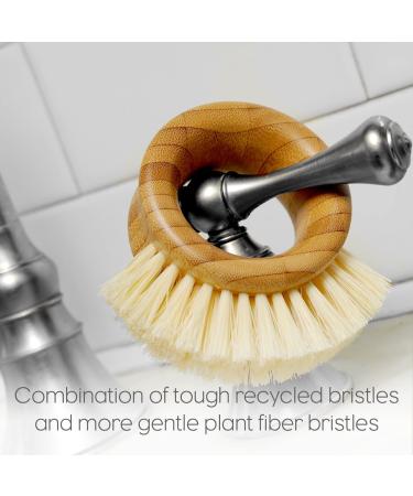Full Circle The Ring Fruit and Vegetable 2 in 1 Fruit & Vegetable Cleaning Brush  Small (Pack of 1)  White - Buy Online on GoSupps.com