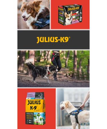 Julius-K9 - Beef & Rice - Adult Dog Food - Beef and Rice Based Dog Food - Suitable for All Small Breeds - 3 kg - Buy Online on GoSupps.com
