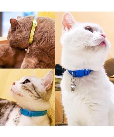 Address Pendant for Cats & Dogs - 6 Stainless Steel Pet ID Tags with Key Rings | Anti-Free Name Tag & Collar Trailer for Pet Identification - Buy Online on GoSupps.com