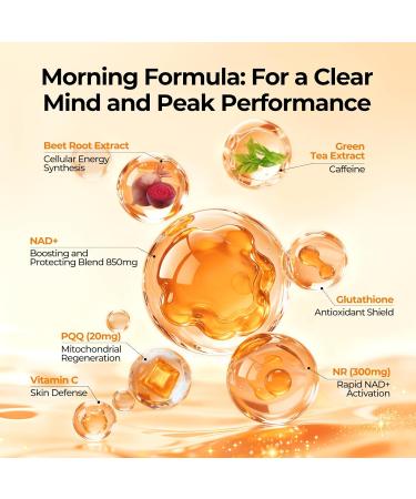 OxyEnergy NAD Supplement 1550 mg-Daytime Nicotinamide Riboside + Nighttime L-Tryptophan with Resveratrol, Glutathione, PQQ, 24-Hour Nonstop Energy, Anti-Aging & Cellular Renewal, 28 Packets - Buy Online on GoSupps.com