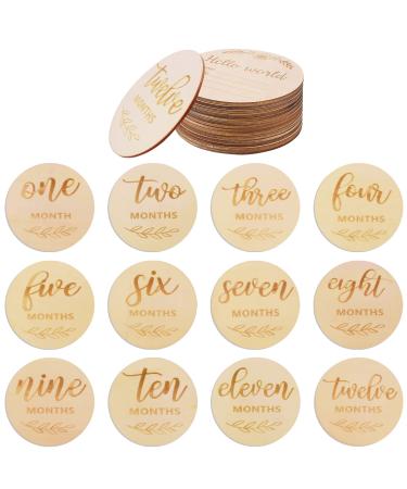 WAIZHIUA 24Pcs Baby Monthly Cards 10cm Round Wooden Baby Monthly Milestone Cards Newborn Photography Prop Double Sided for Baby Shower Pregnancy Journey Birth Announcement (12 Months)