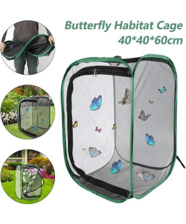 Butterfly Habitat Net Collapsible Insect Bug Habitat Cage Catcher Net Plant Cage Pop-up for Kids/Toddler Catching Crickets/Firefly/Caterpillars - Buy Online on GoSupps.com