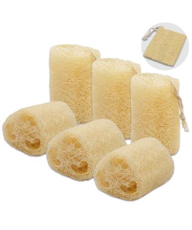 Organic Natural Loofah Sponge  Unbleached  6 Pcs Luffa in Bulk  Eco Friendly Deep Clean Exfoliating Bath Scrubber for Adults  Men and Women Shower and Body Skin Care
