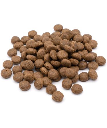 BREEDNA - Adult Chicken + 3kg | Adult Dog Food with Chicken Fruits and Vegetables | Monoprotein Croquette with Natural Antioxidants | Food for Dogs of All Breeds - Buy Online on GoSupps.com