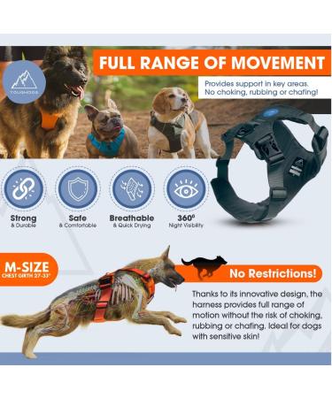 TOUGHDOG Explorer Dog Harness | No Pull, Adjustable, Padded, Durable | Reflective, Easy On/Off | Medium Storm Grey - Buy Online on GoSupps.com
