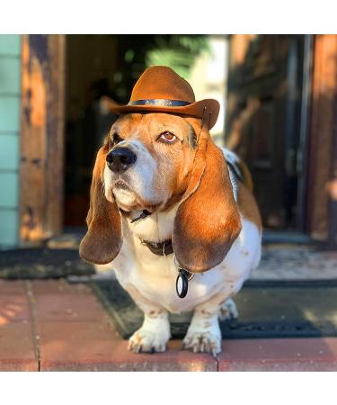 AWOCAN Pet Dog Cowboy Hat Cosplay Cap Puppy Pet Dog Cat Holiday Costume Pet Party Decoration - Buy Online on GoSupps.com