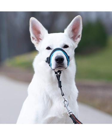 Goodboy Dog Halter - Stop Heavy Pulling Padded Leash for All Sizes - Includes Training Instructions - Size 2 Black Nylon Blue Push - Buy Online on GoSupps.com