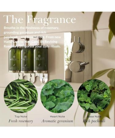 Molton Brown Reviving Rosemary Body Lotion 10 fl. oz. - Buy Online on GoSupps.com