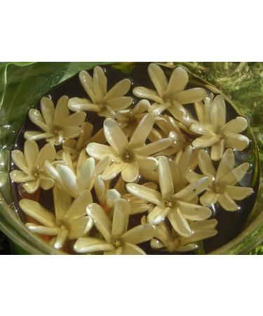 Mono de Tahiti Double Tiare Scent - 100% Natural Limited Edition - 8 oz | International Shipping - Buy Online on GoSupps.com