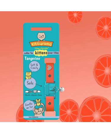 Shop Kittyrama Cats & Kittens Neck Bands - Vogue Featured Vet Approved Breakaway & Hypoallergenic Styles in Tangerine & More! - Buy Online on GoSupps.com