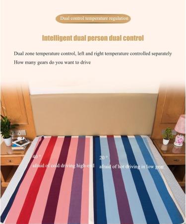 Biyeh 9-Temperature Electric Blanket & Pillows - Washable Warm Safe & Energy-Saving | 180x200cm Comfortable D cor - Buy Online on GoSupps.com