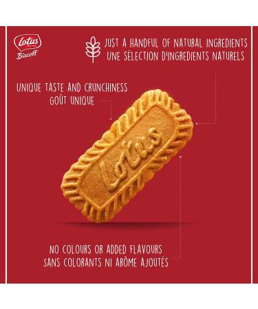 Lotus Biscoff Cookies 300 Count - Individually Wrapped Caramelized Biscuit Cookies - Vegan - 0.2oz (Pack of 300) - Buy Online on GoSupps.com