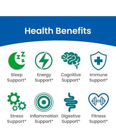 ENCAPSULATE 6 Mushroom Blend 1000mg Reishi Chaga Turkey Tail Cordyceps Lion s Mane & Shiitake 1:1 Mushroom Extract Adaptogen Mushroom Supplement for Gut Brain & Immune Support - 60 Capsules - Buy Online on GoSupps.com