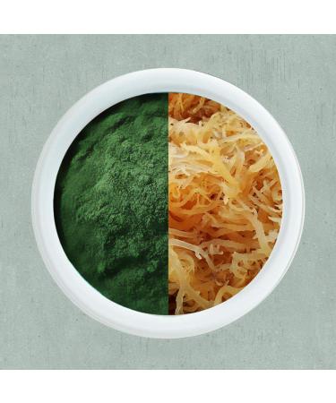 Sea Moss 1000MG Capsules with Spirulina - 120 Vegetarian Capsules - Buy Online on GoSupps.com