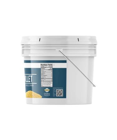 Earthborn Elements Hulled Millet - 7 lb Bucket for Baked Goods, Hot Cereals, Casseroles, Side Dishes - Buy Online on GoSupps.com